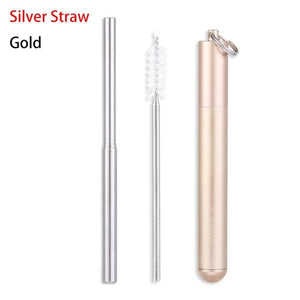 Stainless Steel Travel Straw Set
