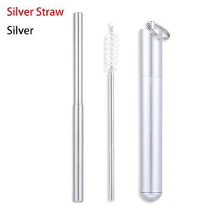 Stainless Steel Travel Straw Set